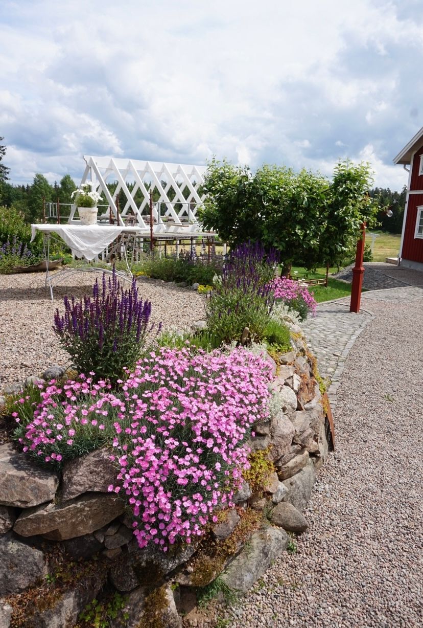 stenmur i trädgård perenner i rädgården