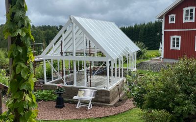 Bygga orangeri / växthus av med trästomme