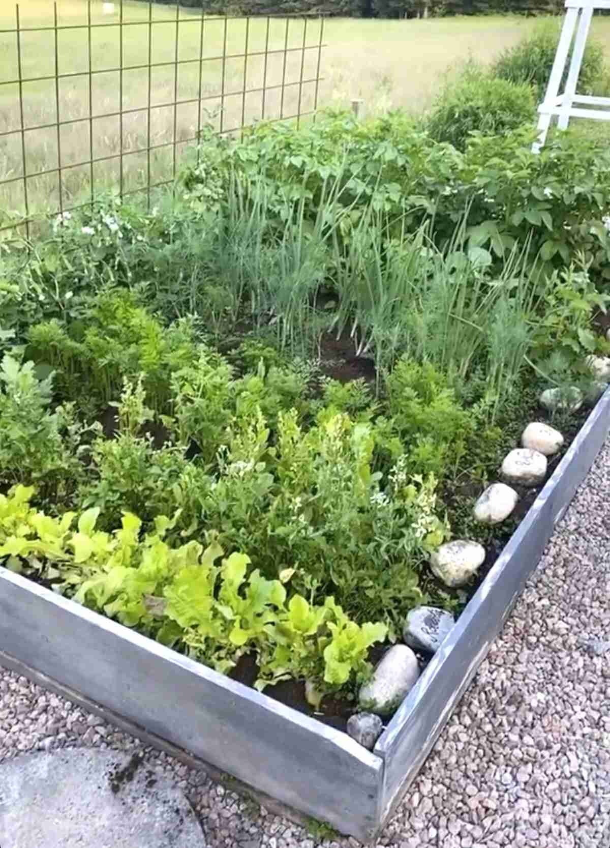 Göra egen gödning till trädgården